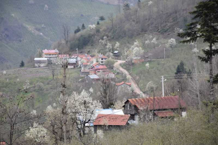 Hendek Dikmen Mahallesi Bahar