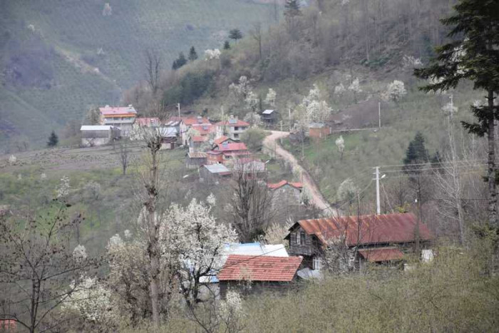 Hendek Dikmen Mahallesi Bahar