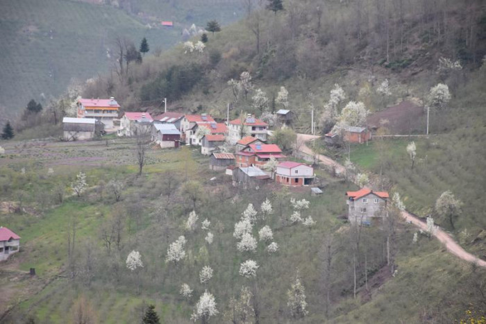 Hendek Dikmen Mahallesi Bahar