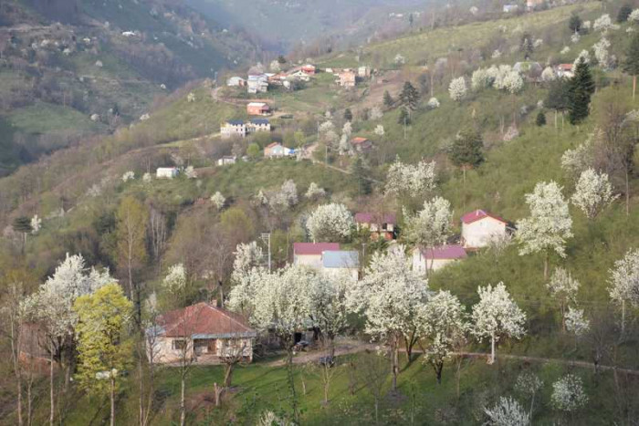 Hendek Dikmen Mahallesi Bahar