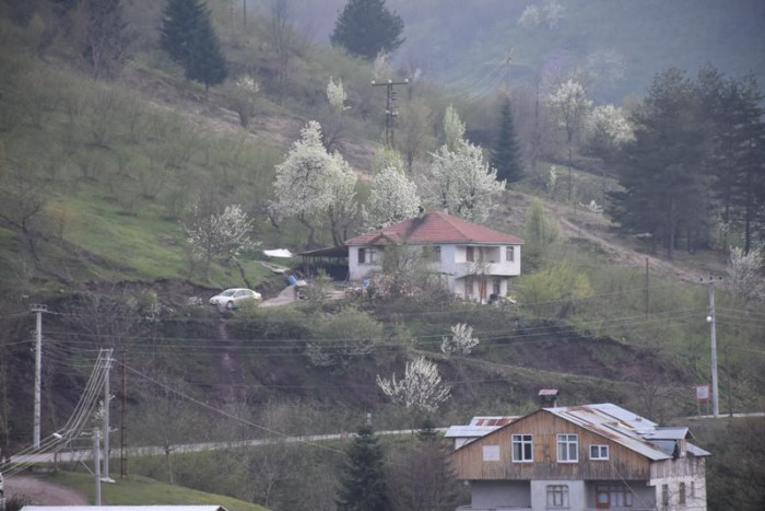 Hendek Dikmen Mahallesi Bahar