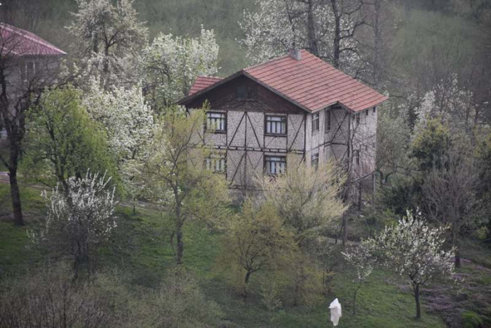Hendek Dikmen Mahallesi Bahar