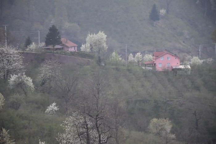 Hendek Dikmen Mahallesi Bahar