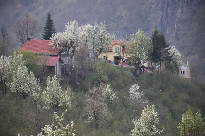 Hendek Dikmen Mahallesi Bahar