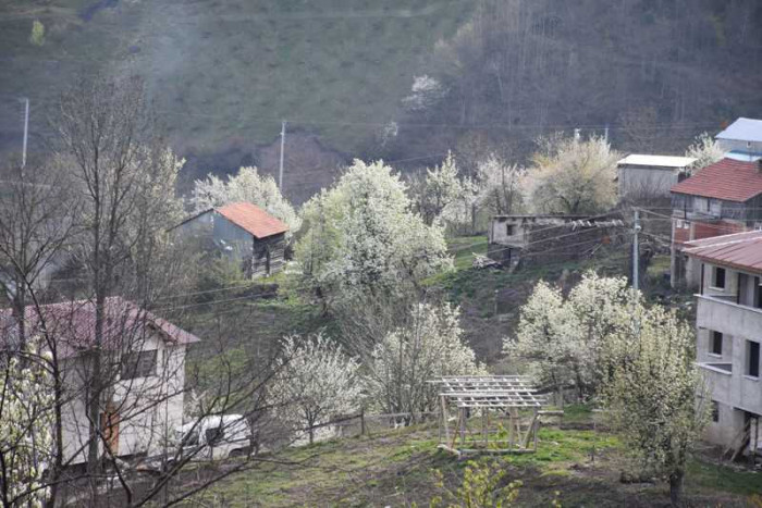 Hendek Dikmen Mahallesi Bahar