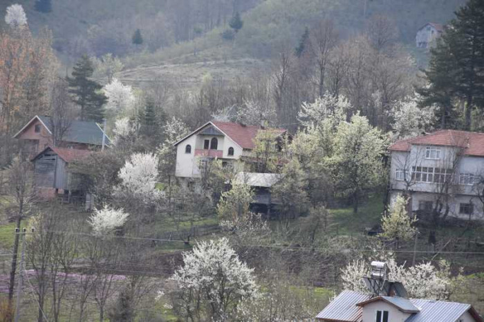 Hendek Dikmen Mahallesi Bahar