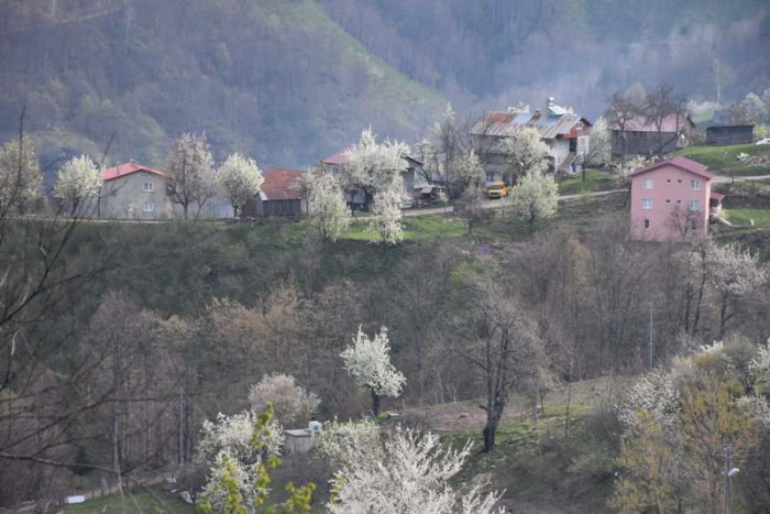 Hendek Dikmen Mahallesi Bahar