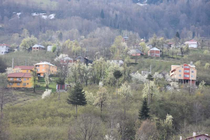 Hendek Dikmen Mahallesi Bahar