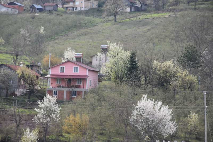 Hendek Dikmen Mahallesi Bahar