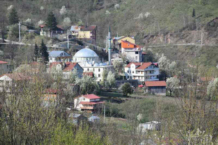 Hendek Dikmen Mahallesi Bahar
