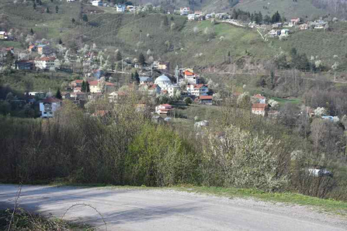 Hendek Dikmen Mahallesi Bahar
