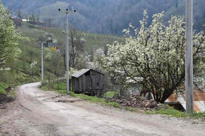 Hendek Dikmen Mahallesi Bahar