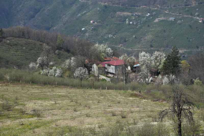 Hendek Dikmen Mahallesi Bahar