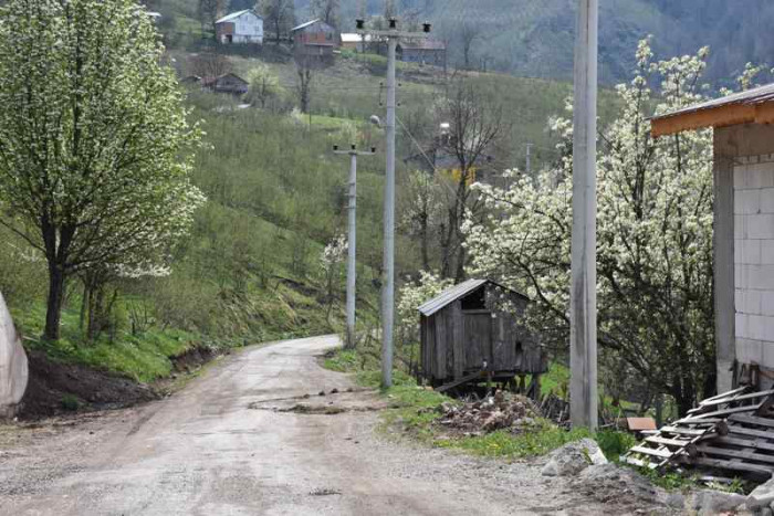 Hendek Dikmen Mahallesi Bahar