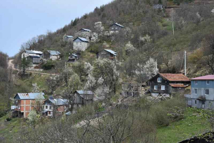 Hendek Dikmen Mahallesi Bahar