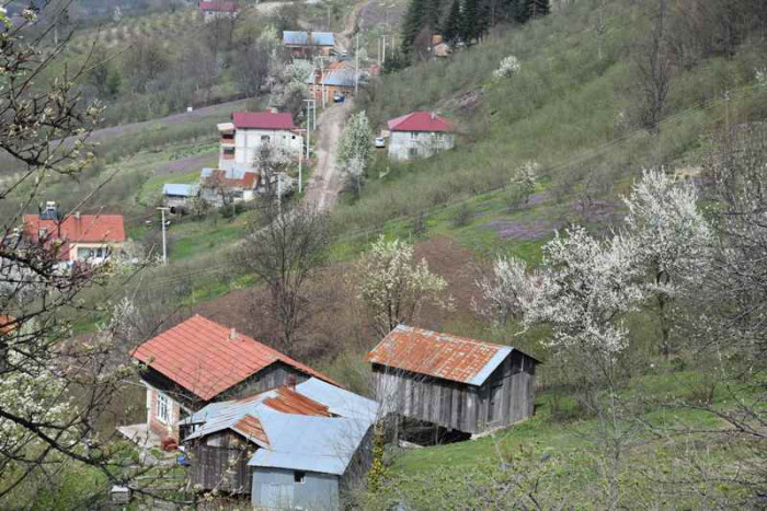 Hendek Dikmen Mahallesi Bahar