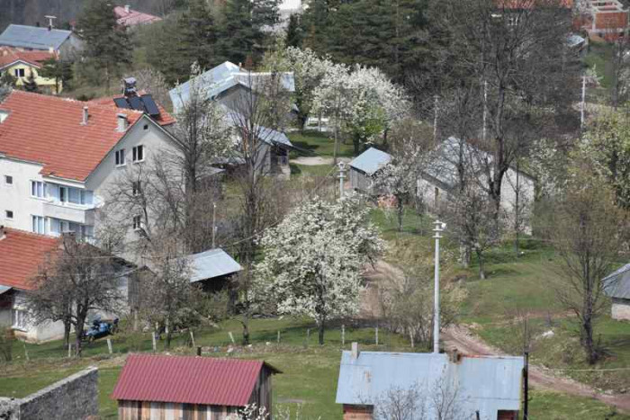 Hendek Dikmen Mahallesi Bahar