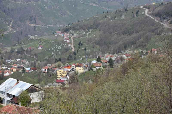 Hendek Dikmen Mahallesi Bahar