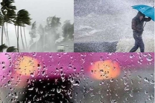 Trabzon, Rize ve Artvin&rsquo;de kuvvetli yağış bekleniyor