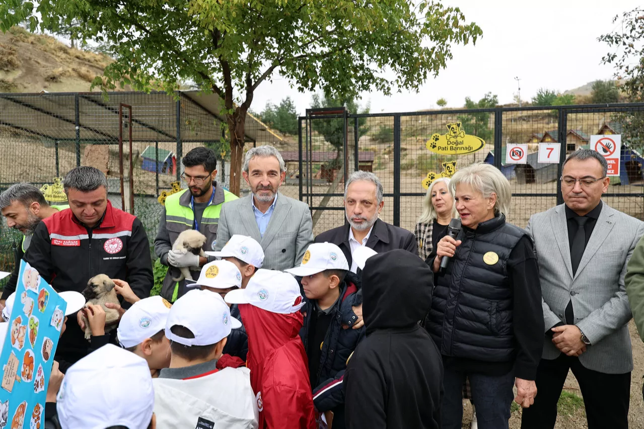 Kayseri Talas'ta can dostların &ouml;zel g&uuml;n&uuml;