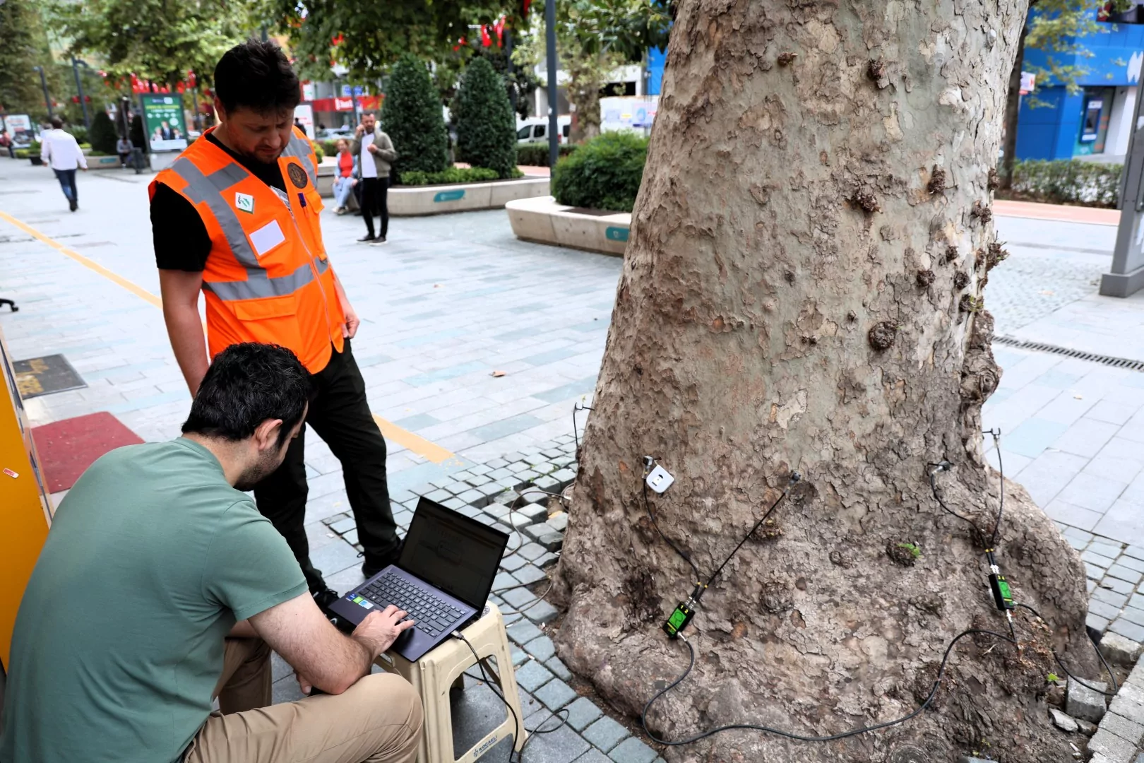 Kocaeli'nin doğal mirasına tomografi
