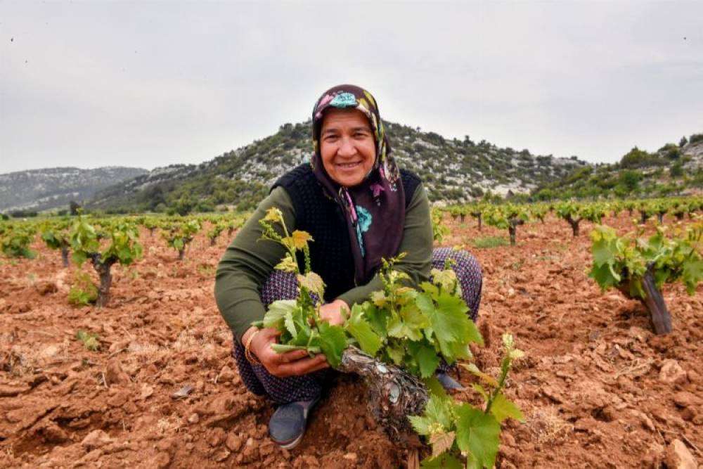 Çiftçinin yüzü organikle gülüyor