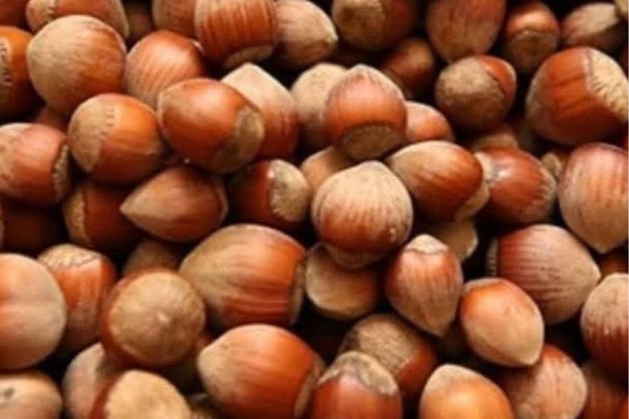 Fındık &uuml;reticisi zor durumda!