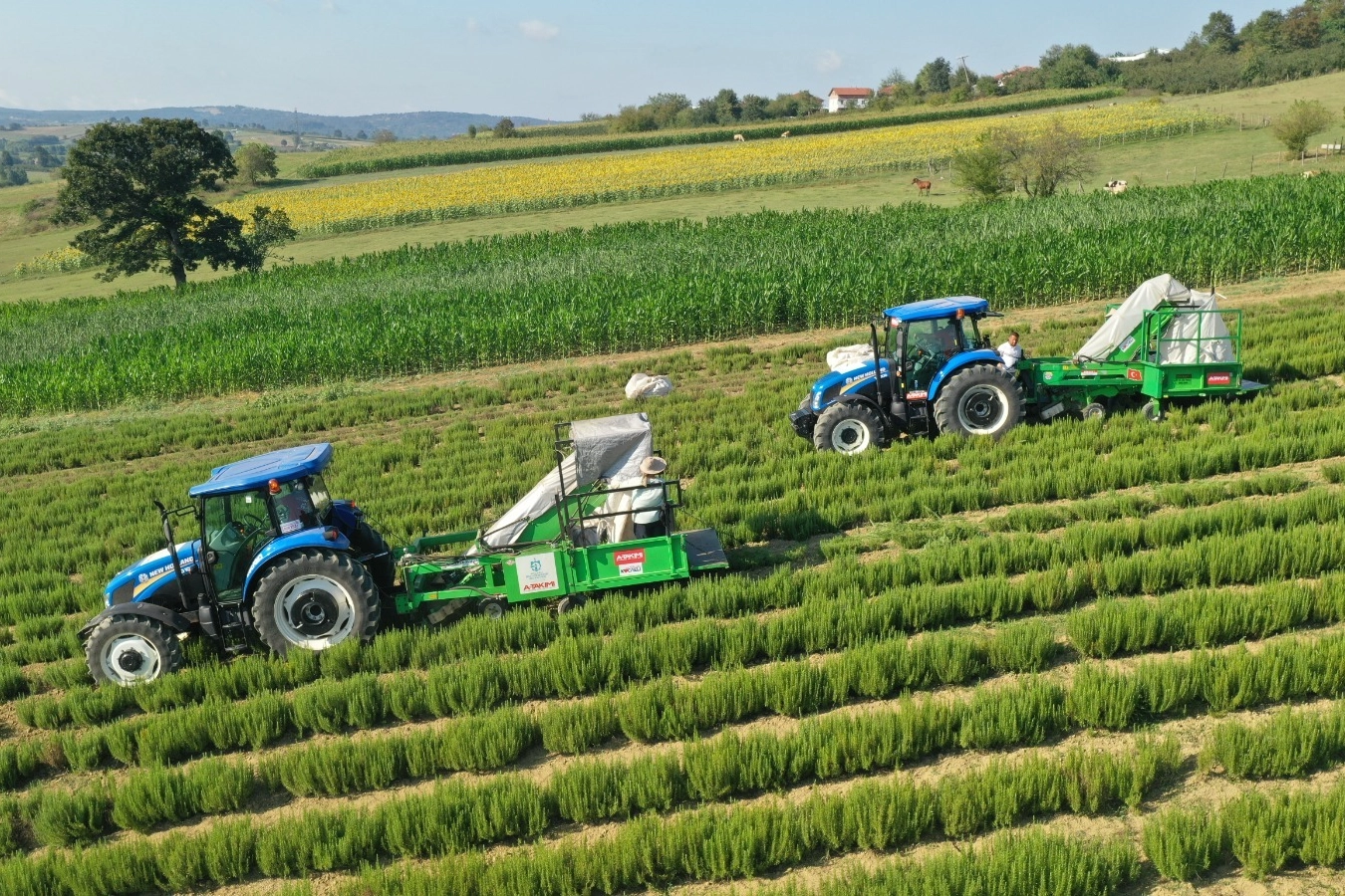 Kocaeli'de kırsal &uuml;retimde B&uuml;y&uuml;kşehir&rsquo;in izi var