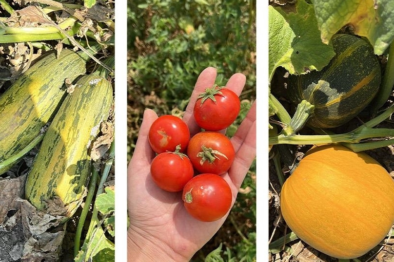 Balıkesir'de &lsquo;&uuml;mit var&rsquo; sayısı 84&rsquo;e y&uuml;kseldi