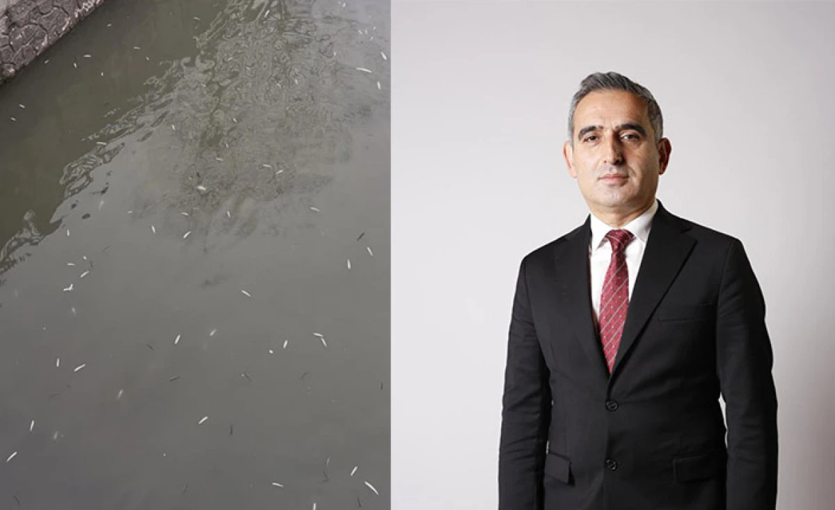 Bayraktar Uludere&rsquo;deki Balık &Ouml;l&uuml;mleri İle İlgili A&ccedil;ıklama Yaptı