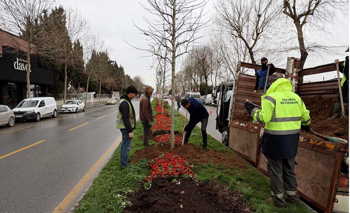 B&uuml;y&uuml;kşehir&rsquo;in &lsquo;Yeşil Şehir&rsquo; Vizyonu Sahada: 3 Ayda 2 Bin 500 Ağa&ccedil; Toprakla Buluştu
