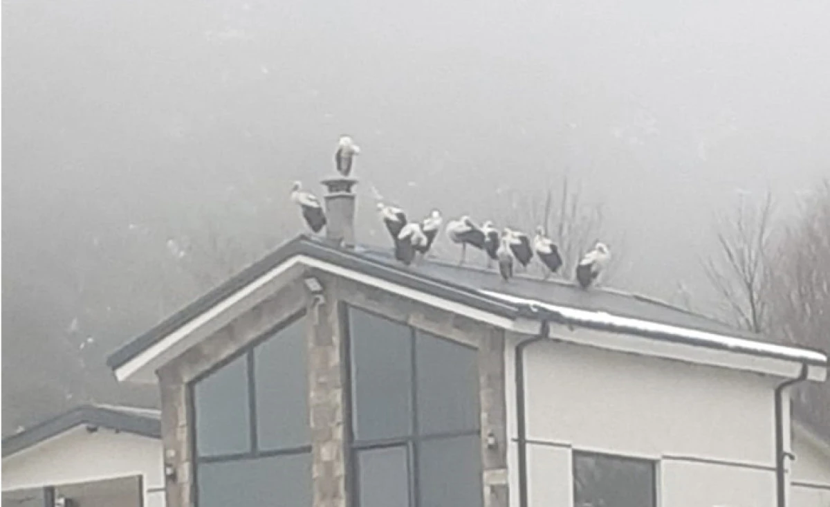 G&ouml;&ccedil; Yolculuğuna Hendek&rsquo;te Mola