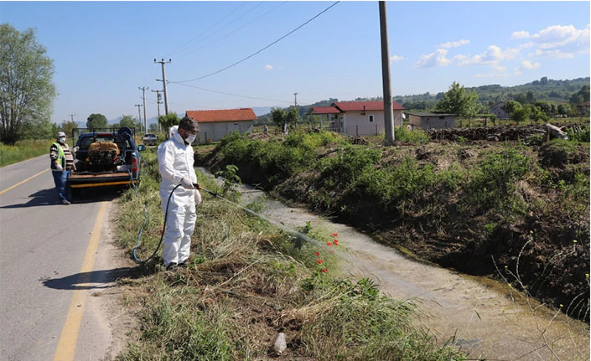 Hendek Belediyesi’nden Larva İle Etkin Mücadele