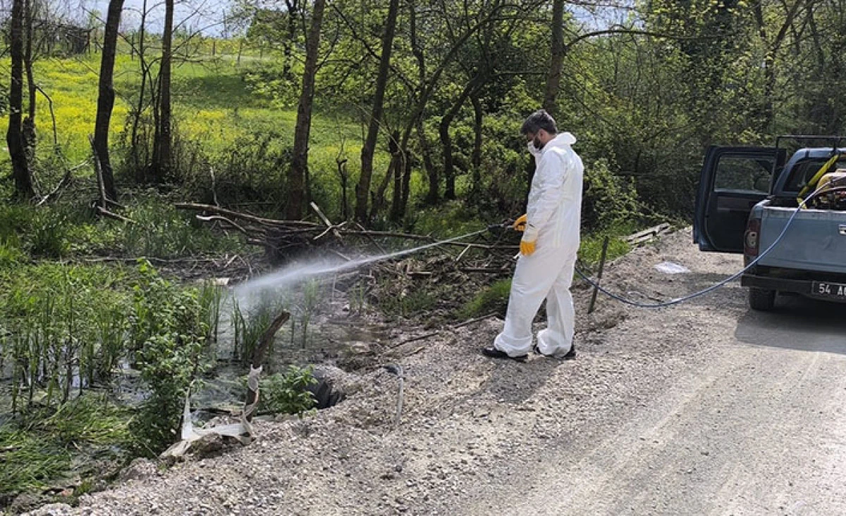 Hendek Belediyesi&rsquo;nden Sinek Ve Haşerelere Karşı Erken &Ouml;nlem
