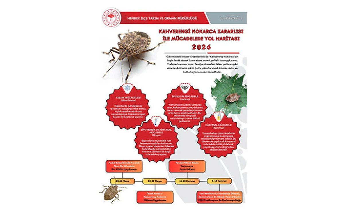 Hendek İl&ccedil;e Tarım M&uuml;d&uuml;rl&uuml;ğ&uuml;nden Kahverengi Kokarca Uyarısı