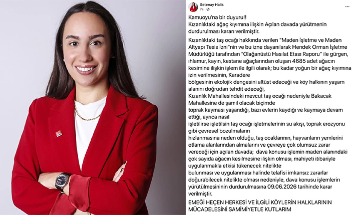 Hendek&rsquo;te Ağa&ccedil; Kesimine Y&uuml;r&uuml;tmeyi Durdurma Kararı