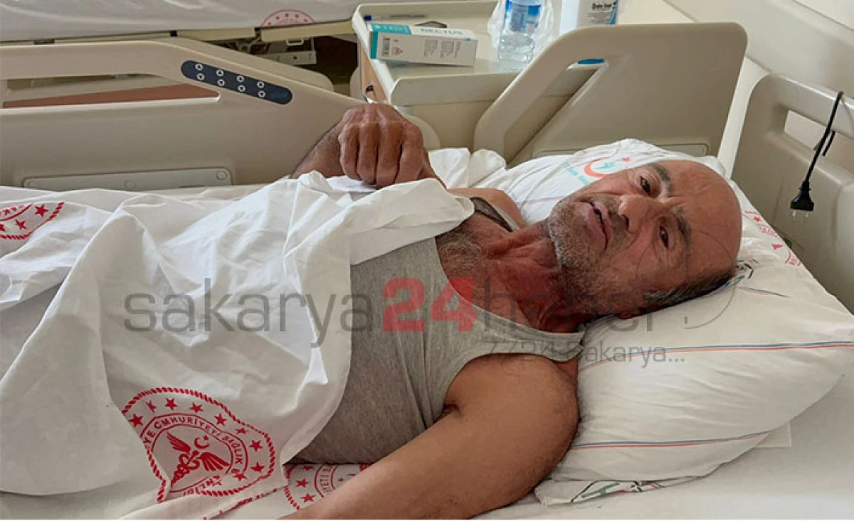 Hendek’te Ayı Saldırısı 1 Yaralı