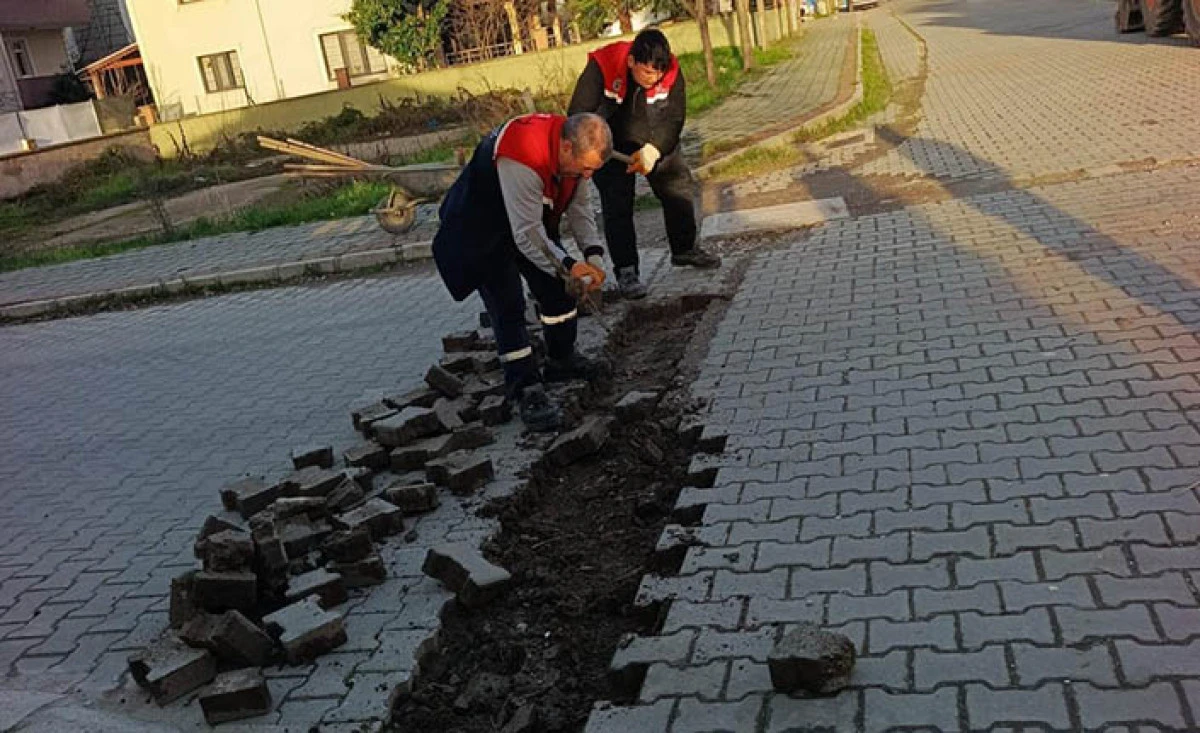 Hendek&rsquo;te Ekiplerin Saha &Ccedil;alışmaları S&uuml;r&uuml;yor