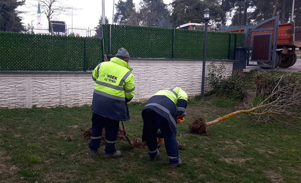Hendek&rsquo;te Yeşil Alanlarda Temizlik Ve Ağa&ccedil;landırma Seferberliği