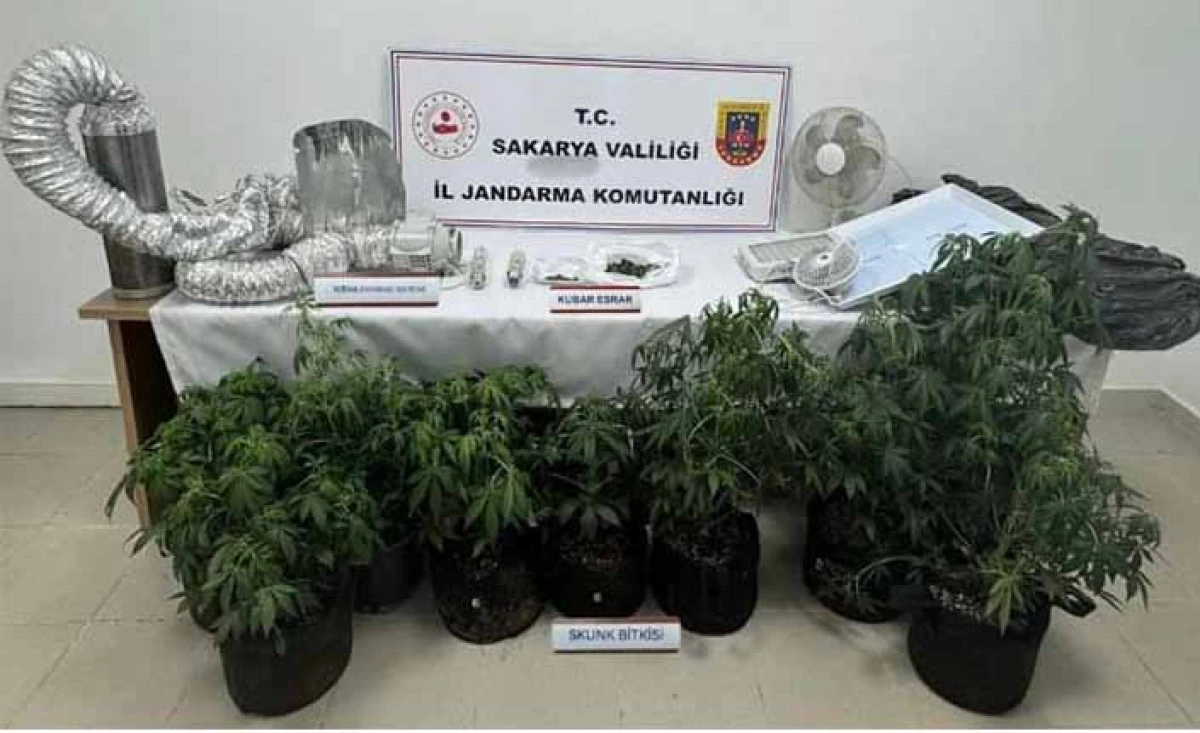 Jandarmadan Uyuşturucu Operasyonu