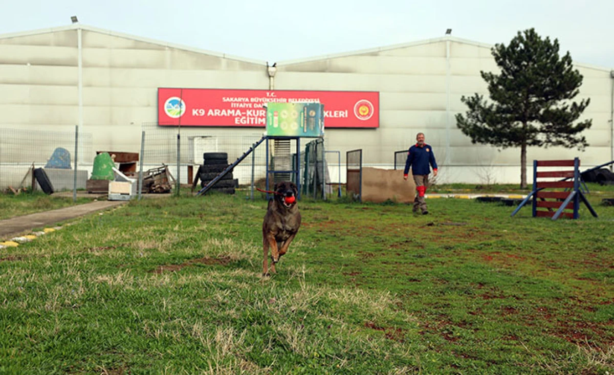 Reina, Ateş, Google Ve Labrador En Zor Anda &lsquo;Umut&rsquo; Olmak İ&ccedil;in Hep Hazır Kıta
