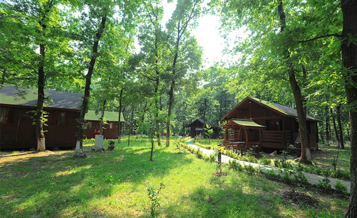 Sakarya İl Ormanı Bungalov Evleri Misafirlerini Bekliyor