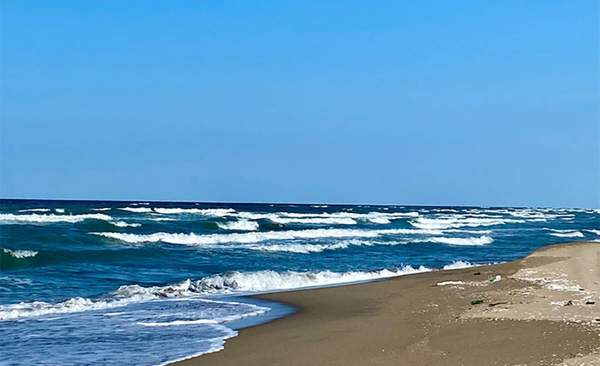 Sakarya&rsquo;nın A&ccedil;ık Deniz &Uuml;retim Potansiyeline Y&ouml;nelik &Ouml;n Fizibilite Raporu