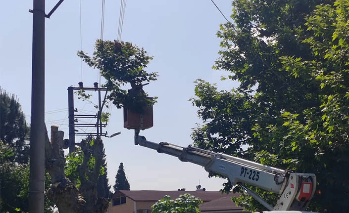 SEDAŞ, Kocaeli’de Kesintisiz Enerji İçin Ağaç Budama Çalışmalarını Sürdürüyor