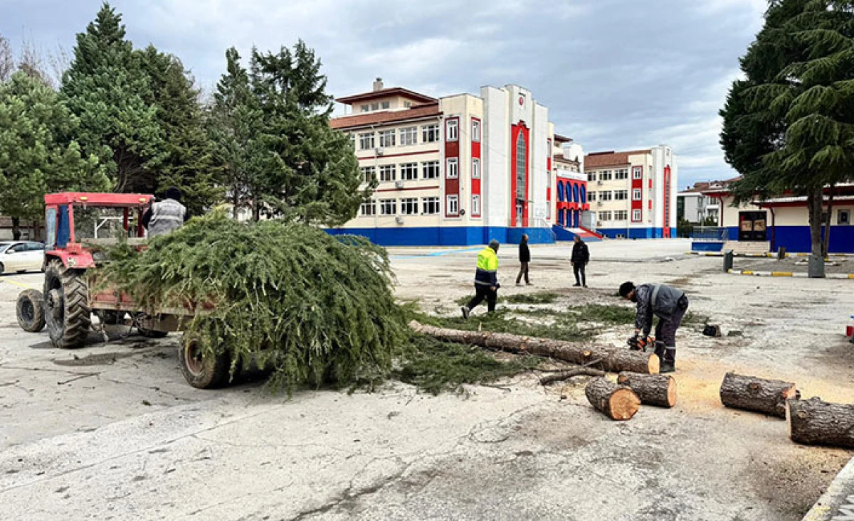 Serdivan Belediyesi Sert R&uuml;zg&acirc;ra Karşı Sahada