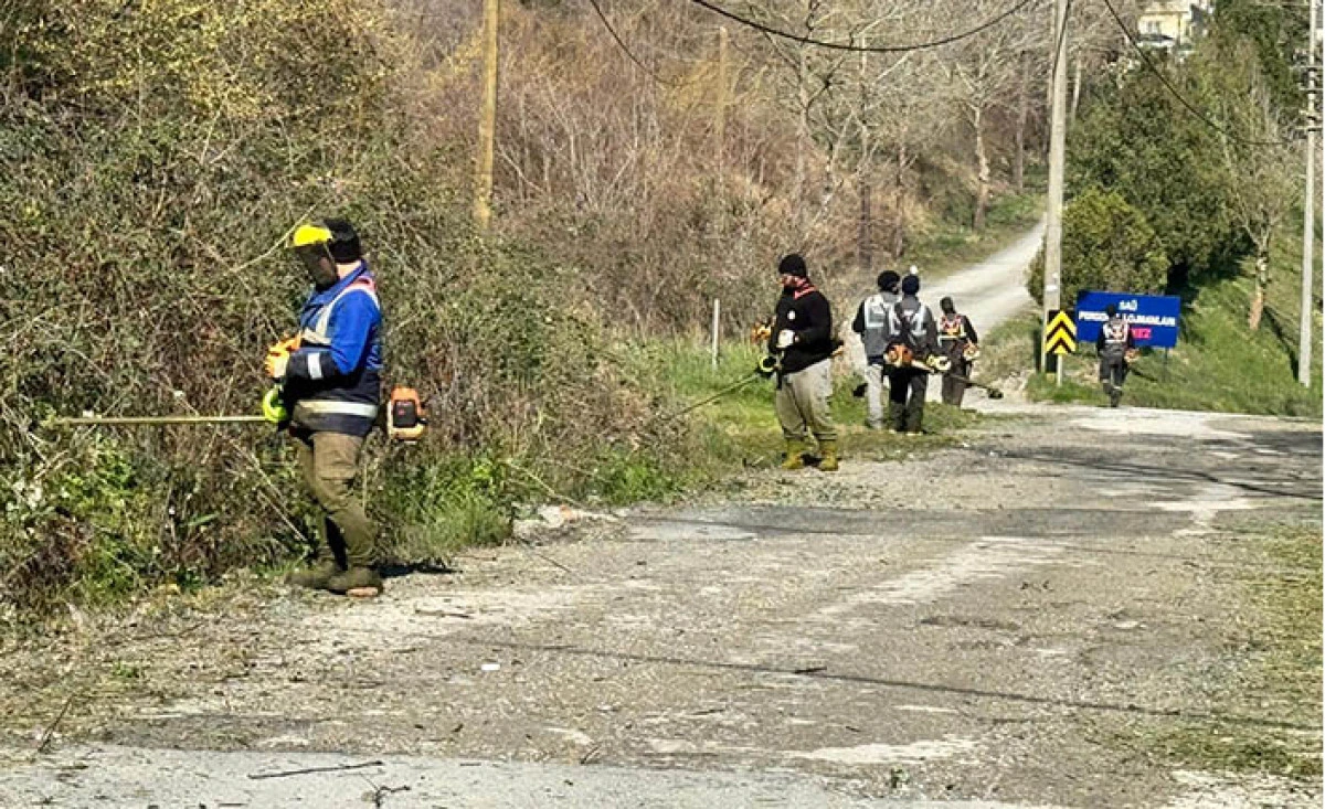 Serdivan&rsquo;da Bahar Mesaisi Başladı