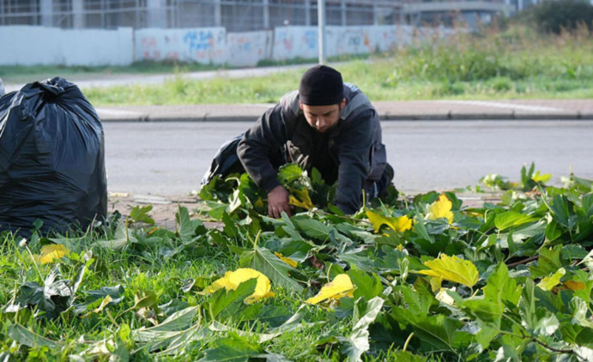 Temiz, D&uuml;zenli ve Yaşanabilir Serdivan